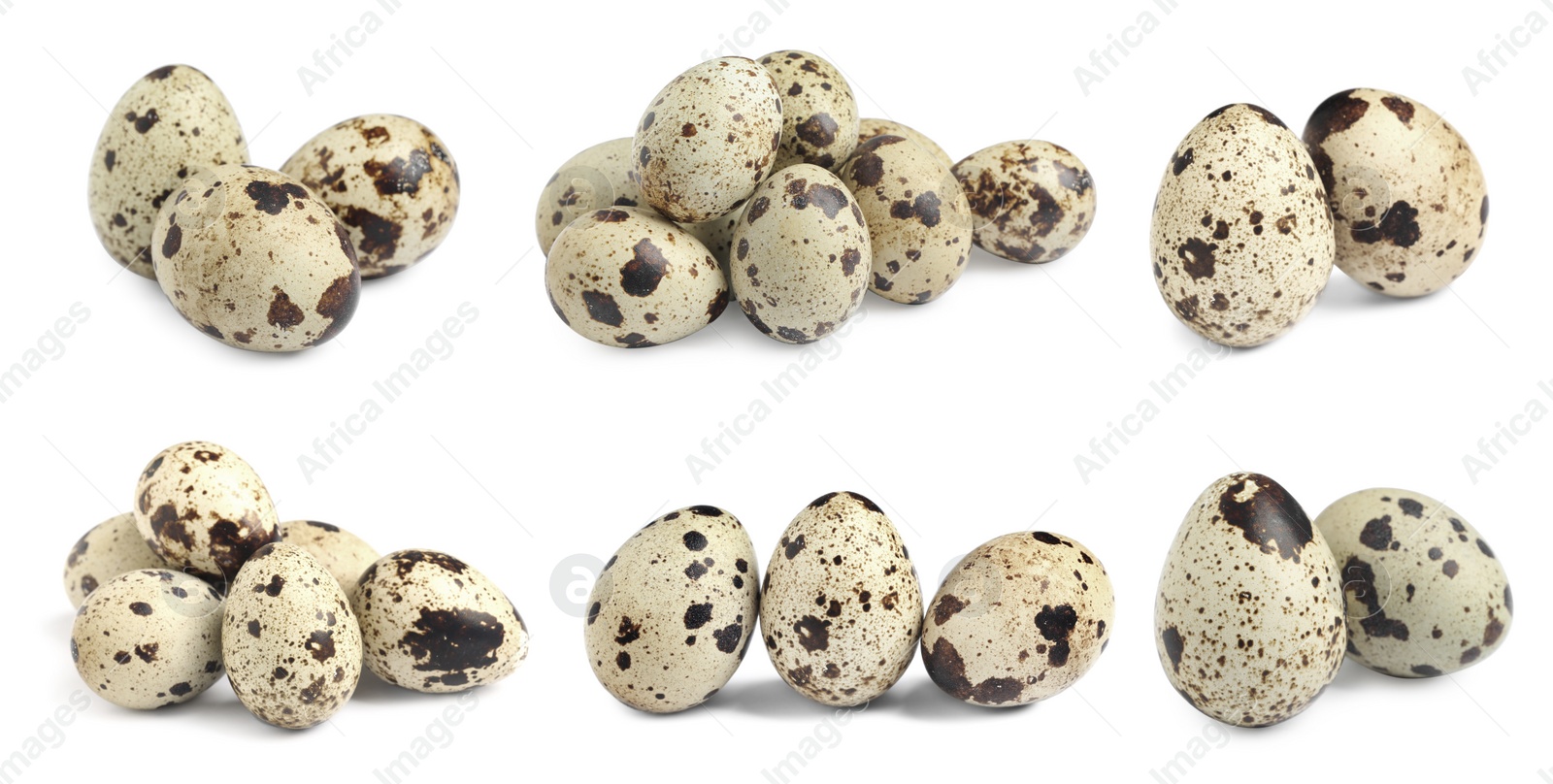 Image of Set with quail eggs on white background. Banner design