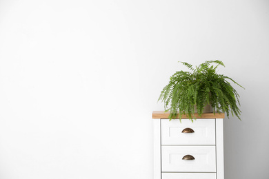 Photo of Potted fern on chestdrawers near white wall, space for text. Home plants