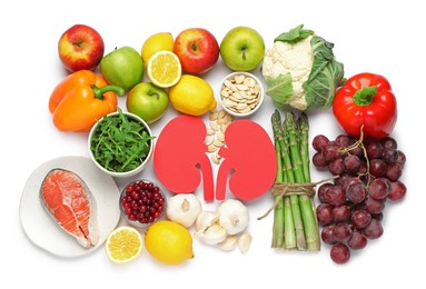 Paper cutout of kidneys and different healthy products on white background, top view