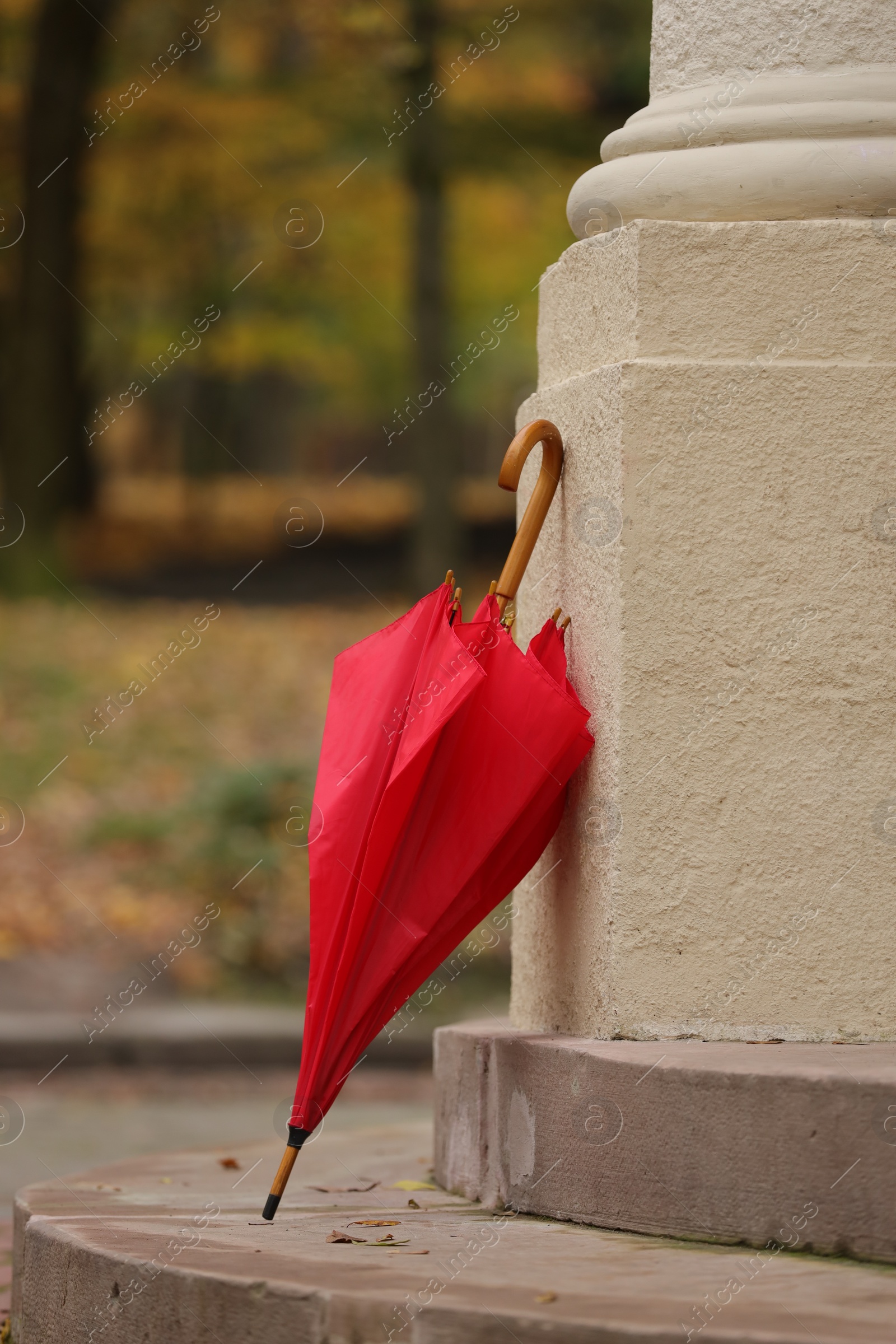 Photo of Autumn atmosphere. One red umbrella in park
