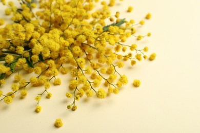 Photo of Beautiful floral composition with mimosa flowers on beige background, closeup