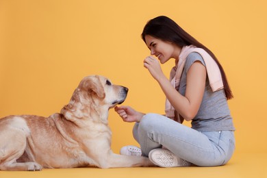 Happy woman playing with cute Labrador Retriever on orange background