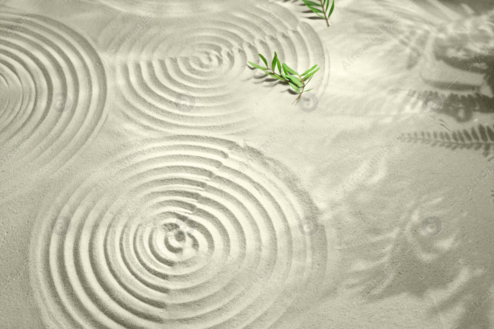 Photo of Beautiful spirals, shadows and branches on sand. Zen garden