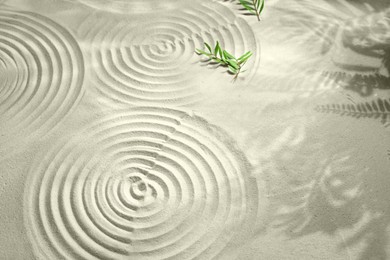 Photo of Beautiful spirals, shadows and branches on sand. Zen garden