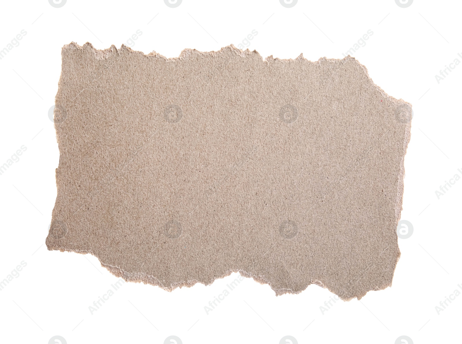 Photo of Piece of paper isolated on white. Space for text