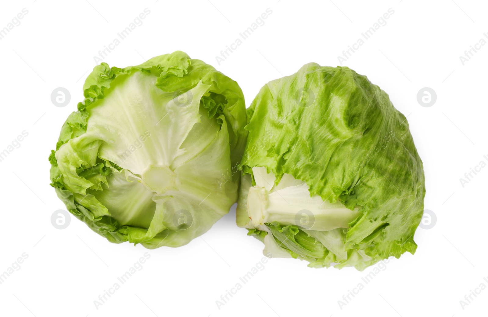 Photo of Fresh green iceberg lettuces isolated on white, top view