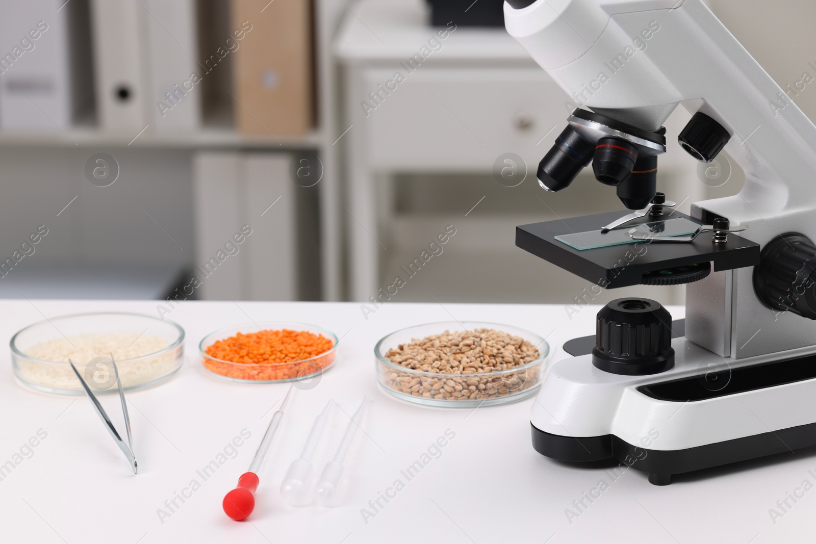 Photo of Food quality control. Microscope, petri dishes with different products and other laboratory equipment on white table