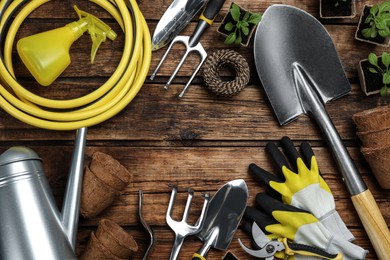 Photo of Frame of gardening tools and green plants on wooden background, flat lay