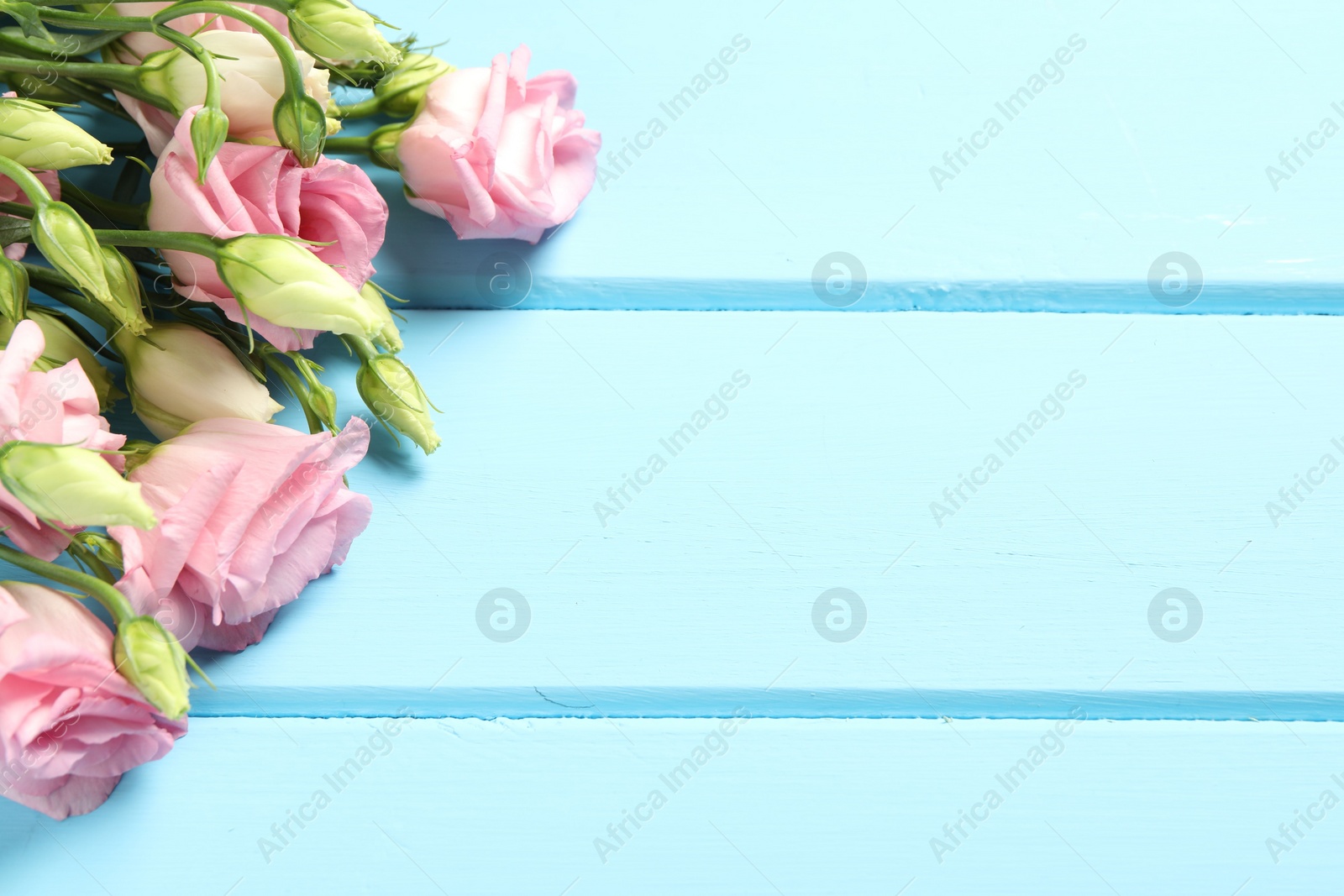 Photo of Happy Mother's Day. Beautiful flowers on light blue wooden table. Space for text