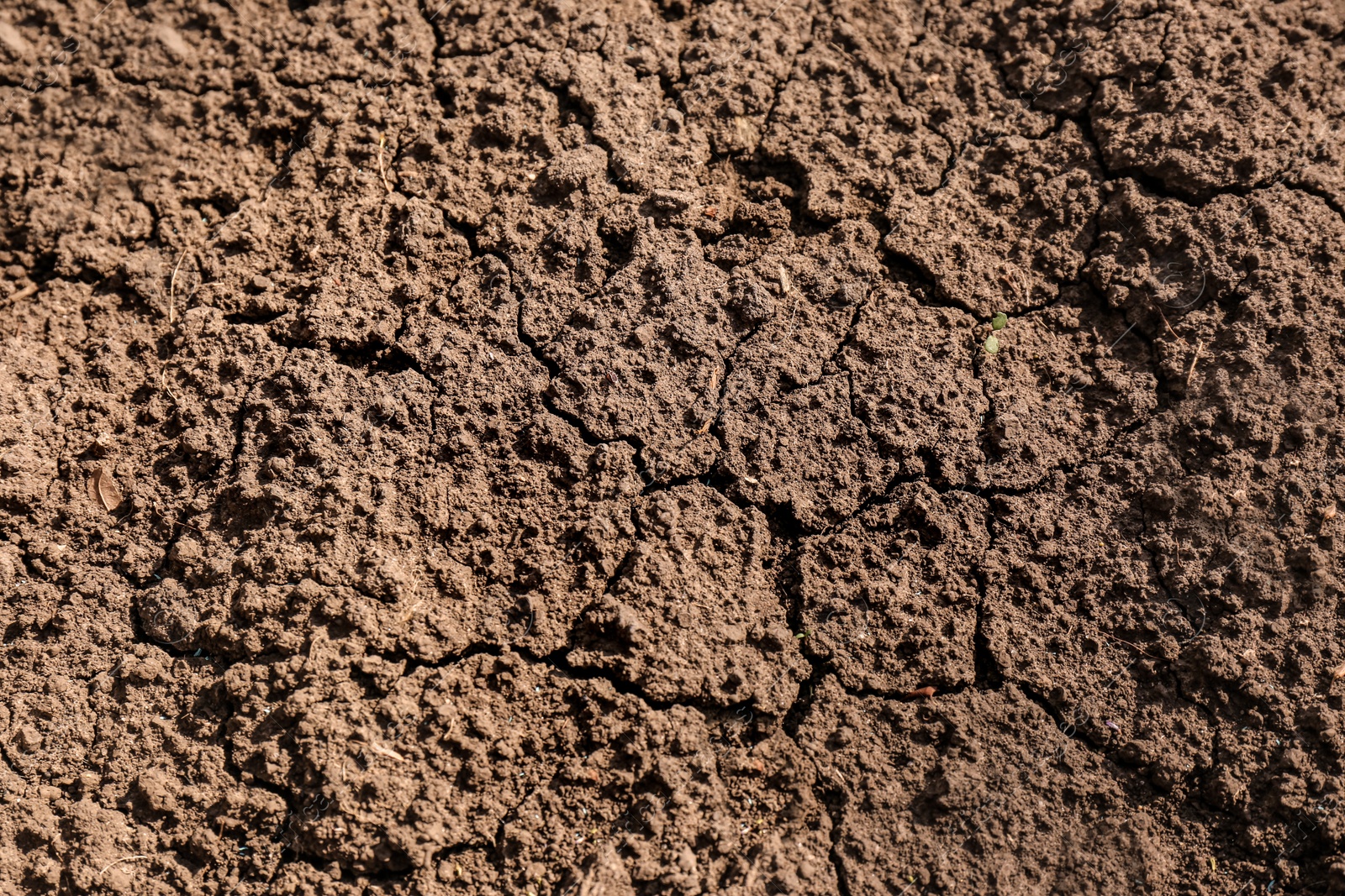 Photo of Cracked ground surface as background, top view. Thirsty soil
