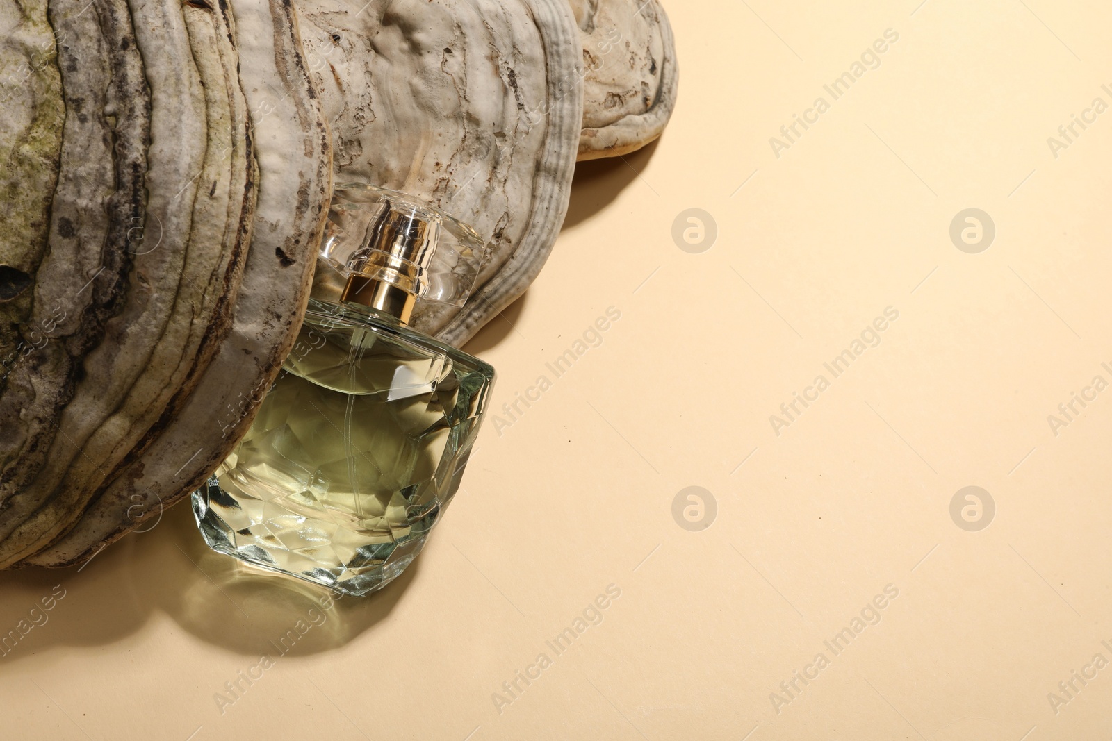 Photo of Luxury perfume in bottle and decorative element on beige background, top view. Space for text