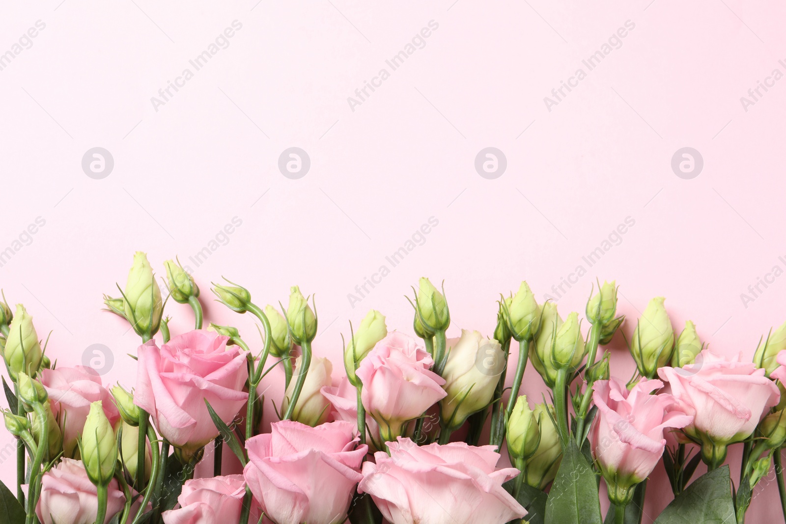 Photo of Happy Mother's Day. Beautiful flowers on pink background, flat lay. Space for text