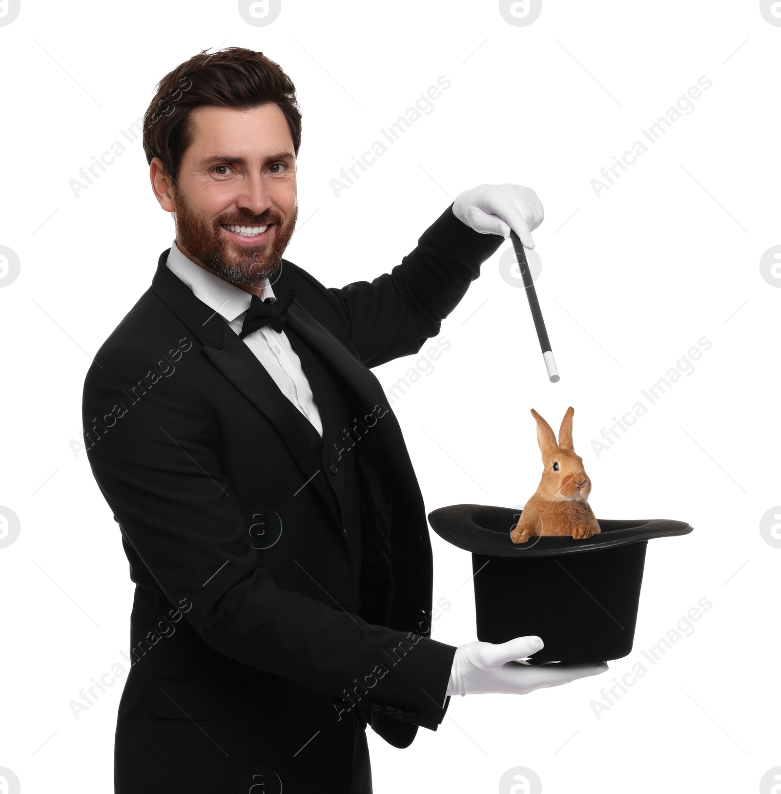 Image of Magician showing trick with top hat and rabbit on white background