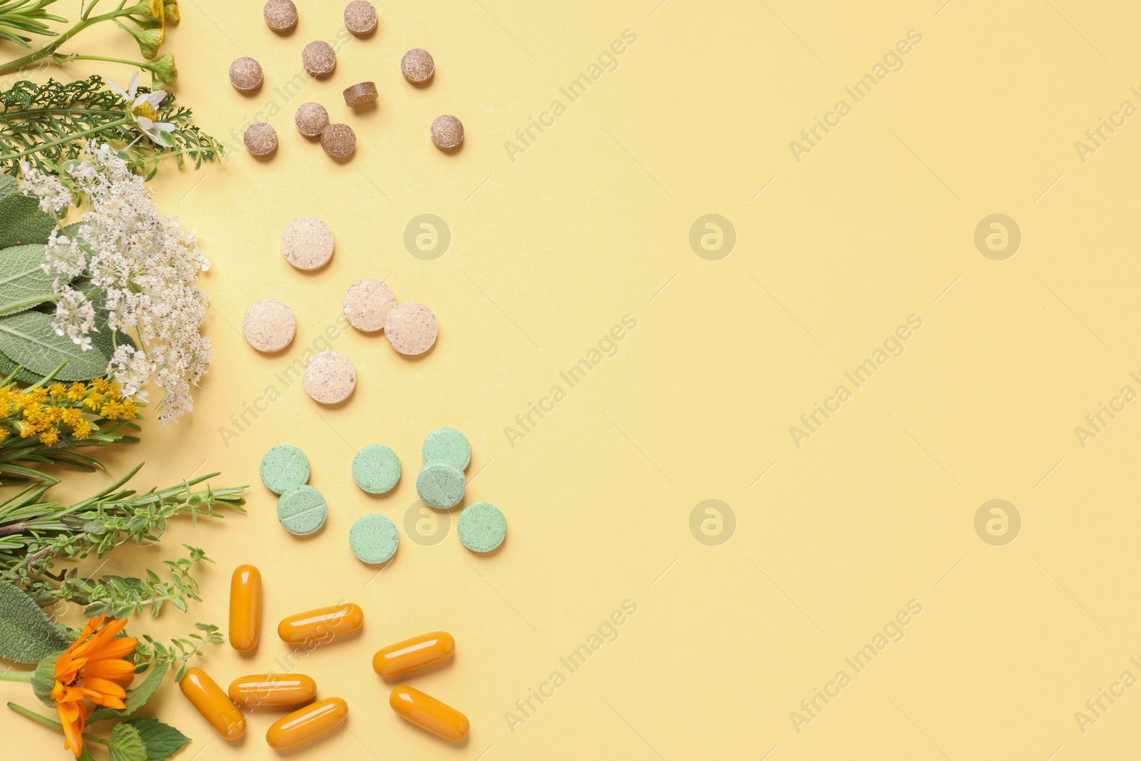 Photo of Different pills, herbs and flowers on light yellow background, flat lay with space for text. Dietary supplements