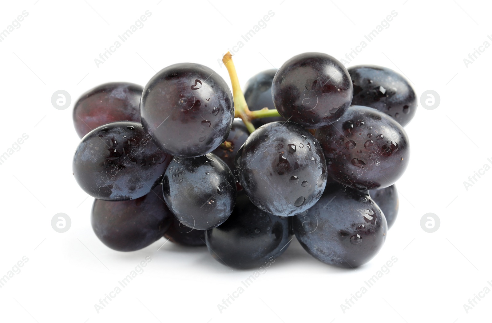 Photo of Delicious purple grapes with water drops isolated on white