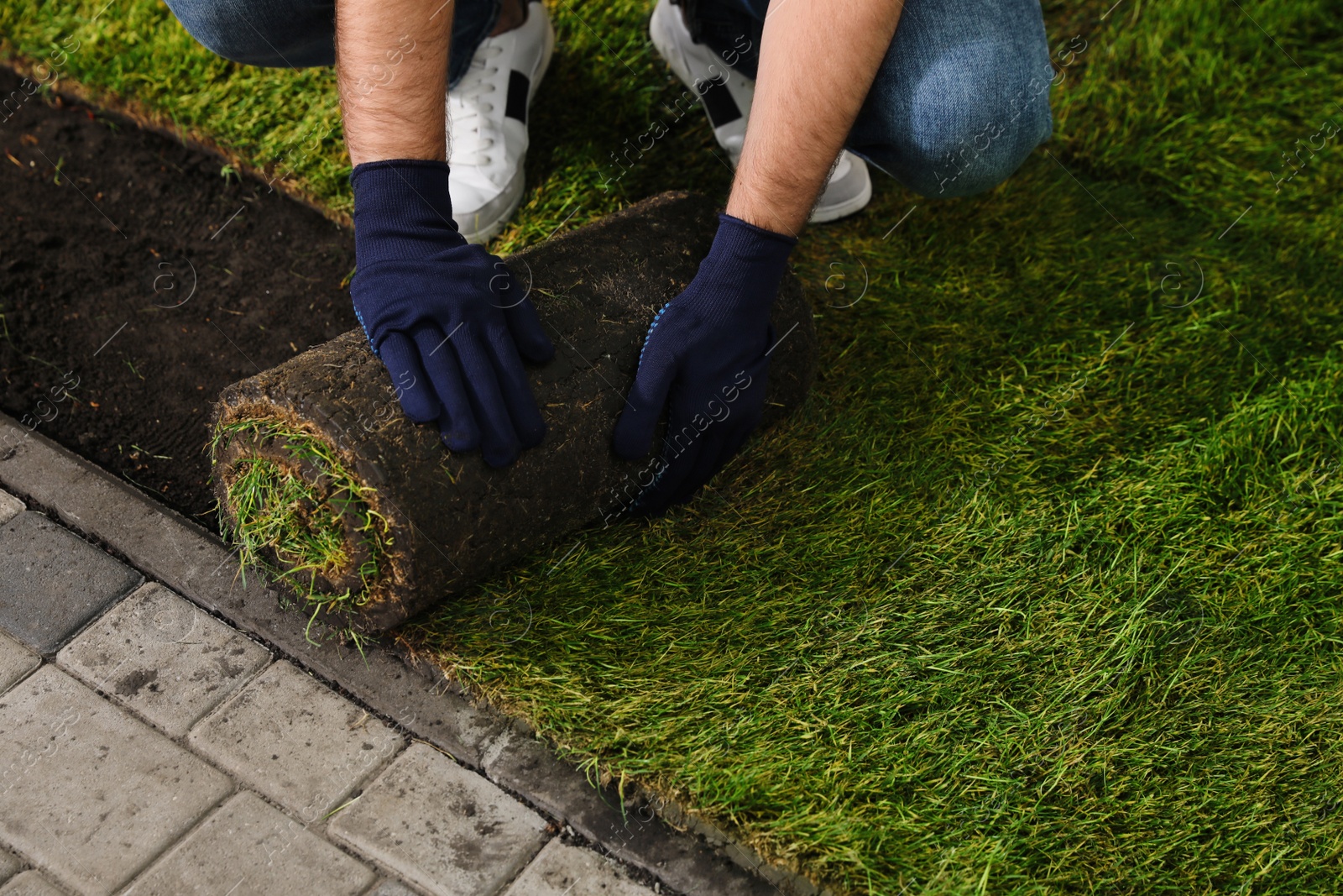 Photo of Young man laying grass sod on ground in garden, closeup