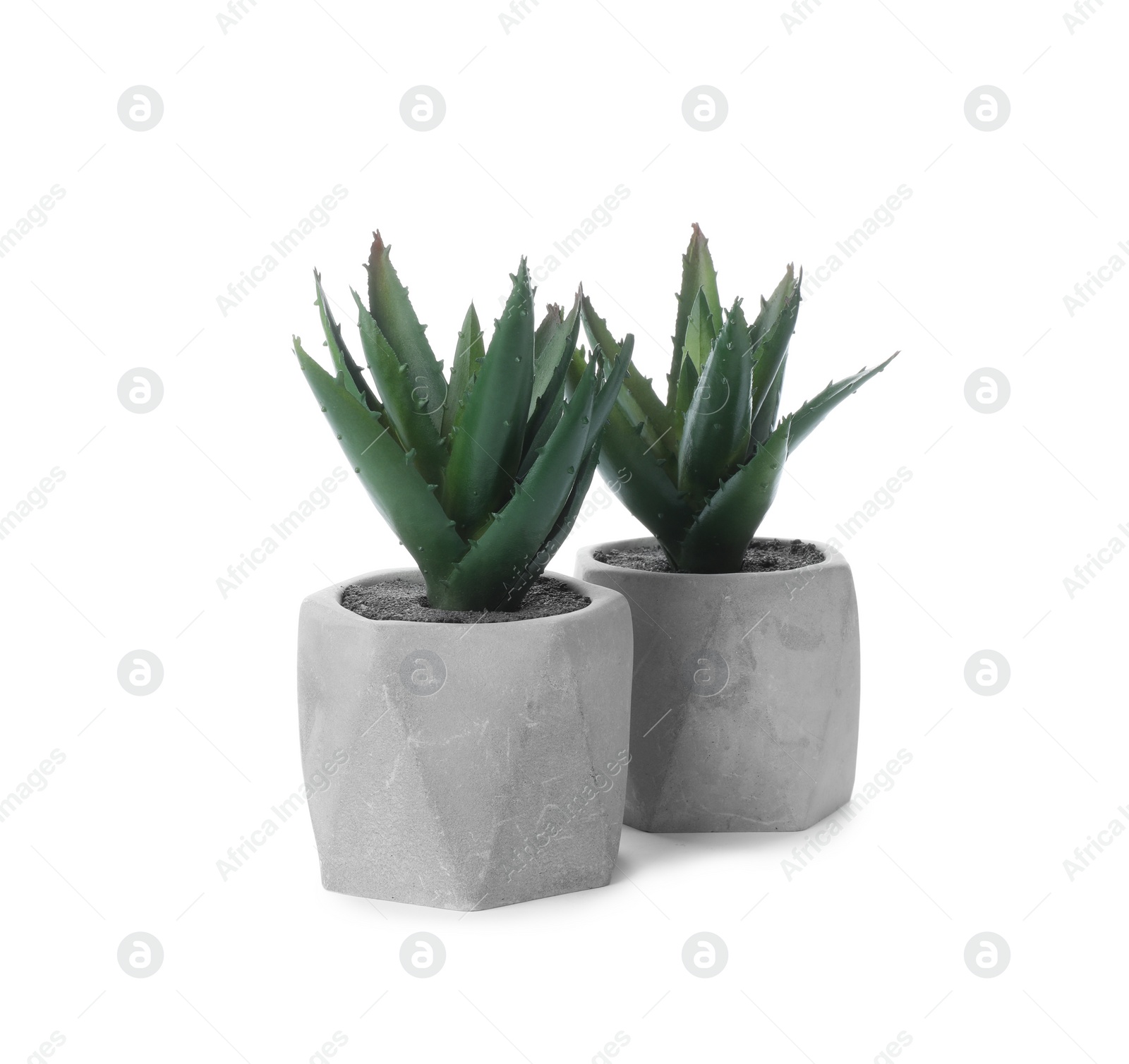 Photo of Beautiful artificial plants in flower pots isolated on white