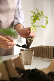 Photo of Woman planting tomato seedling into peat pot at table, closeup