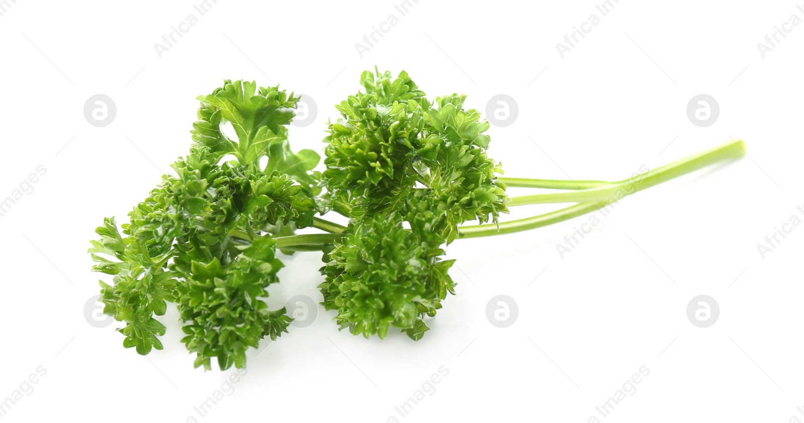 Photo of Fresh green curly parsley on white background