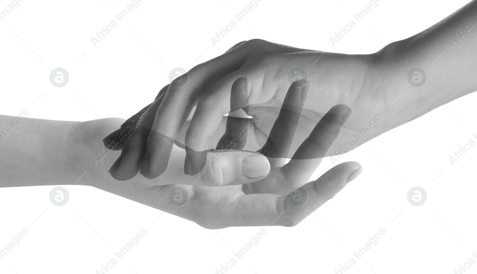 Image of Double exposure of people's hands on white background, closeup. Black and white effect