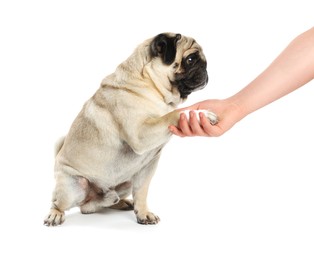 Photo of Woman holding dog's paw on white background, closeup