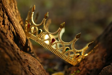 Photo of Beautiful golden crown near wood outdoors, closeup. Fantasy item