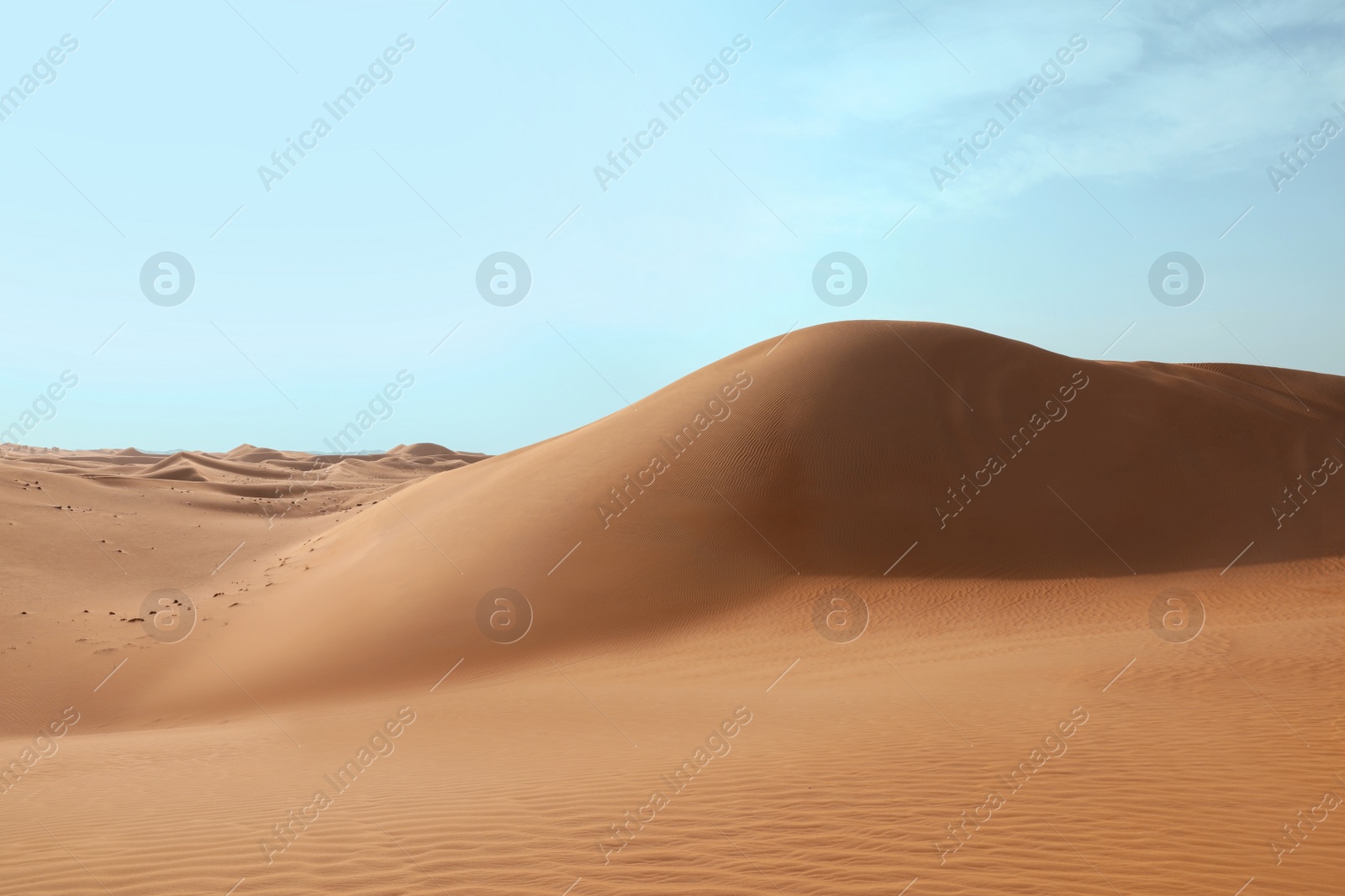 Photo of Picturesque landscape of sandy desert on hot day