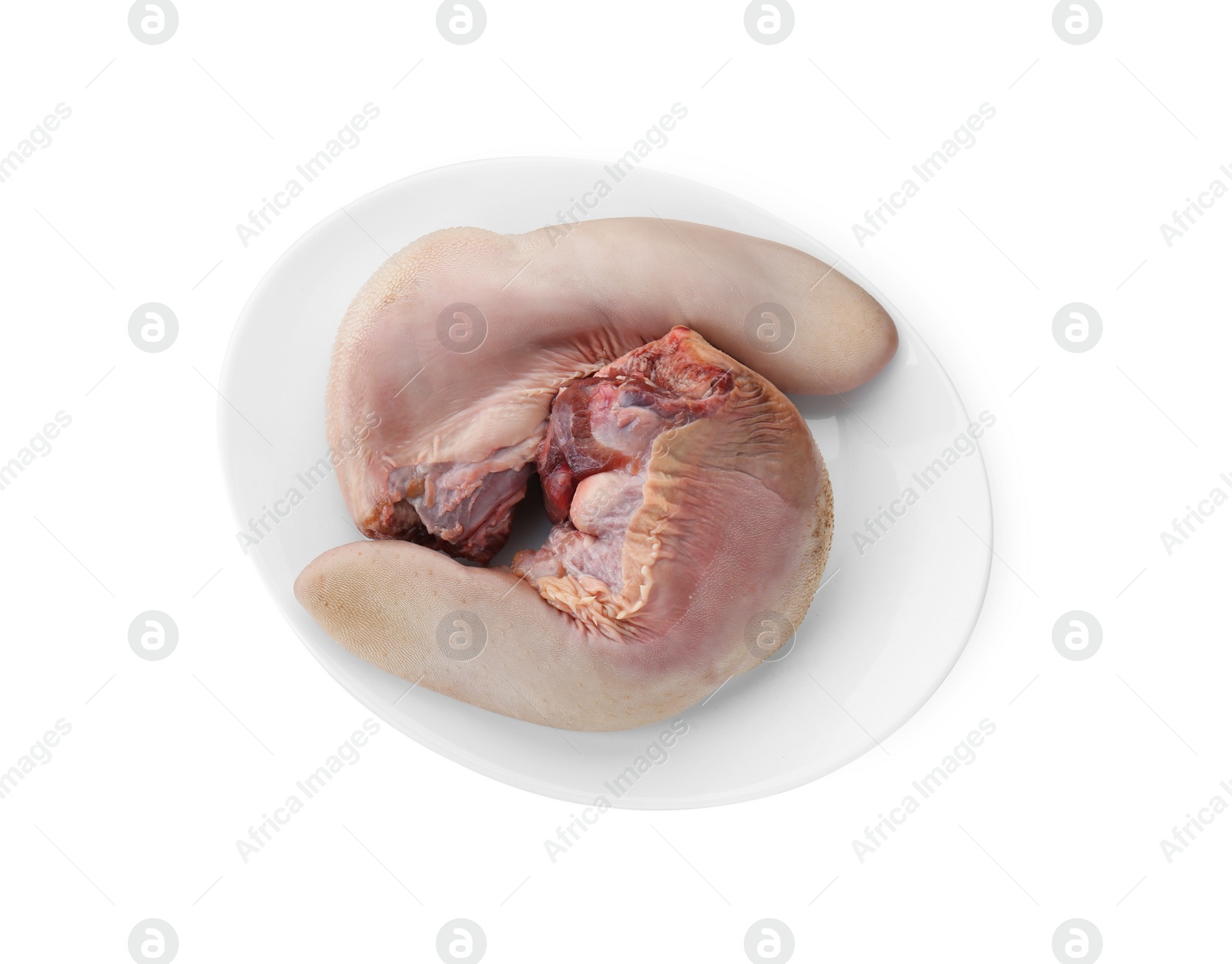 Photo of Plate with raw beef tongues on white background, top view