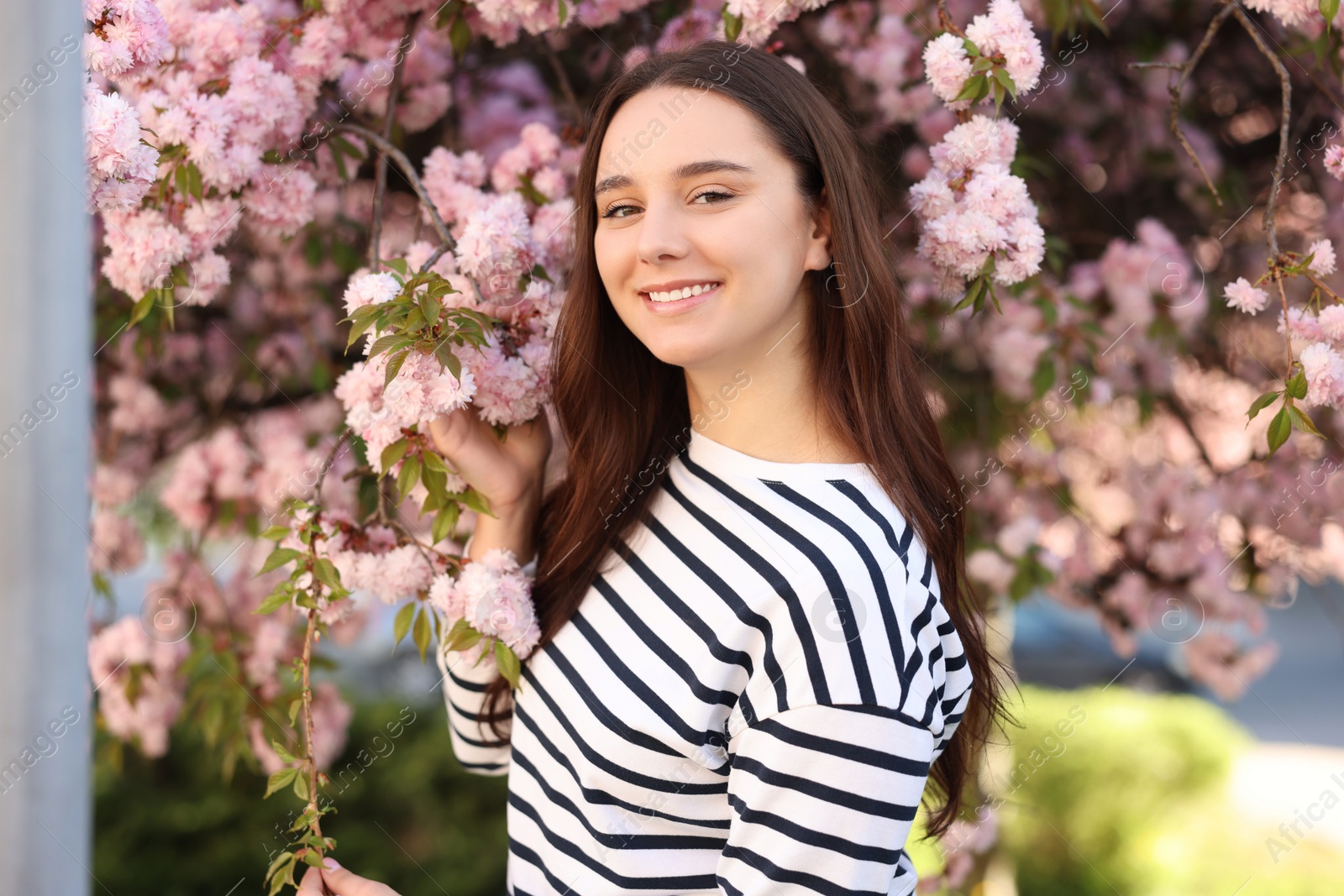 Photo of Beautiful woman near blossoming tree on spring day