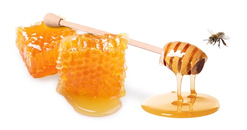 Dripping tasty honey from dipper, honeycombs and bee on white background, banner design