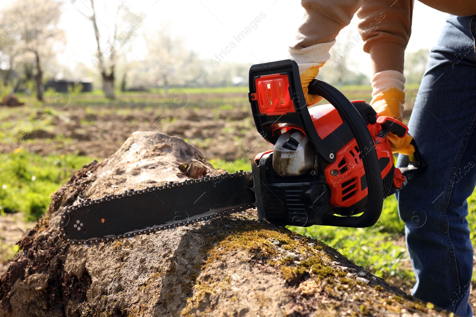 Photo of Man sawing wooden log on sunny day, closeup