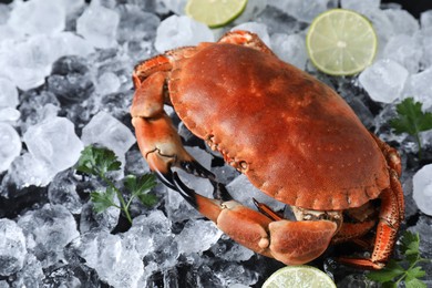 Photo of Delicious boiled crab, lime, parsley and ice on table