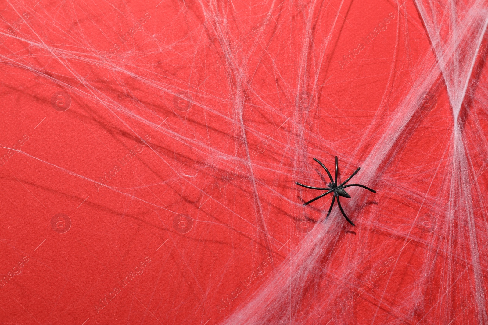 Photo of Cobweb and spider on red background, top view