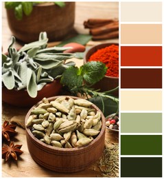 Image of Different herbs and spices on wooden table and color palette. Collage