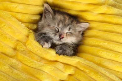 Photo of Cute kitten sleeping in soft yellow blanket, top view