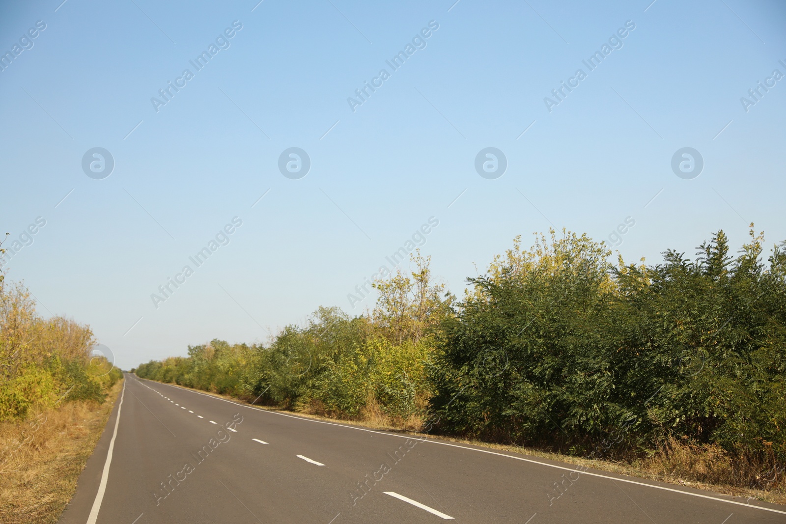 Photo of Beautiful view of empty asphalt highway. Road trip