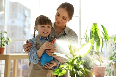 Photo of Mother and daughter taking care of home plants indoors