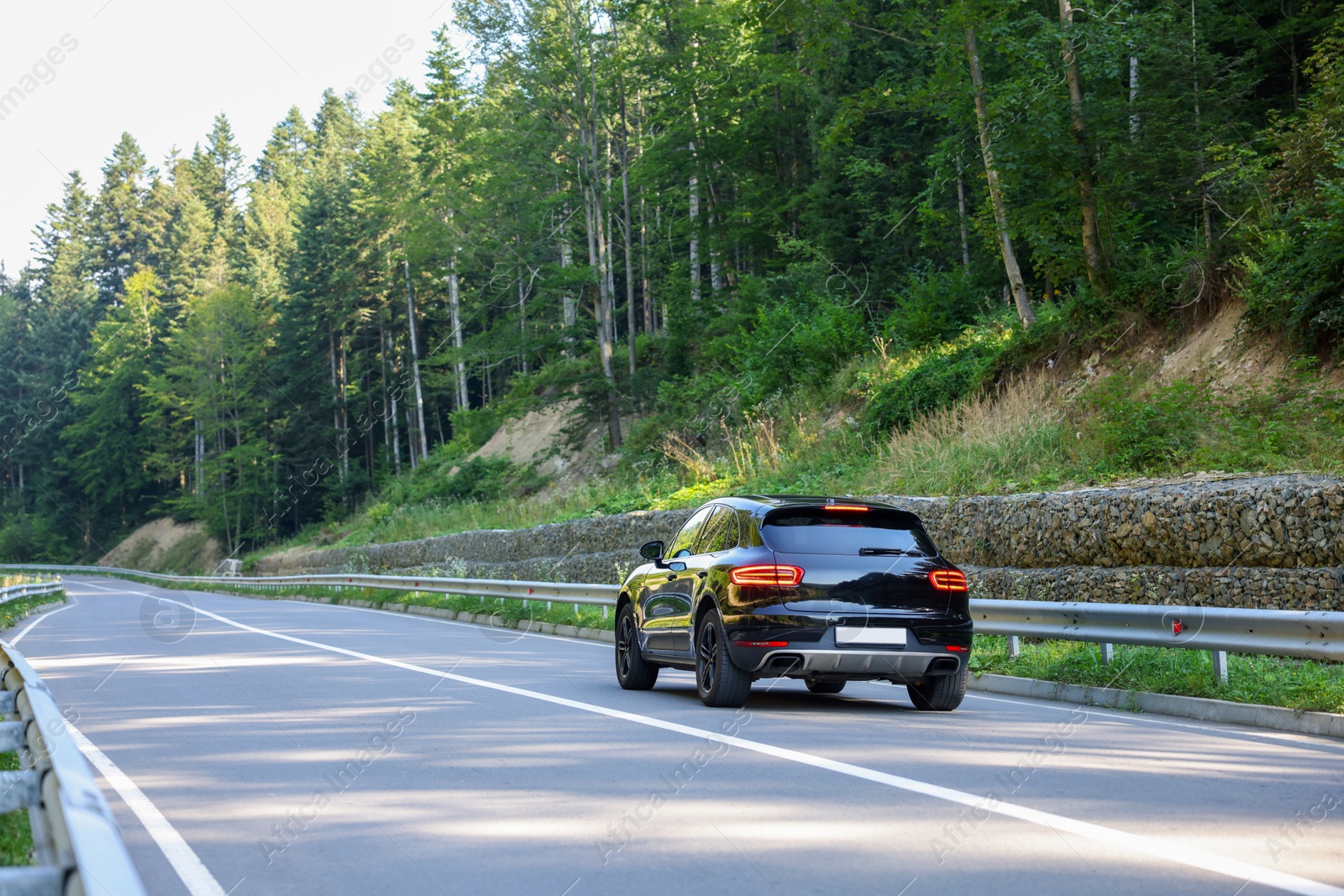 Photo of Picturesque view of asphalt road with modern black car near forest