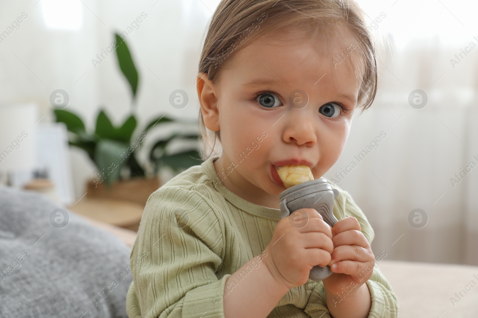 Photo of Cute baby girl with nibbler at home