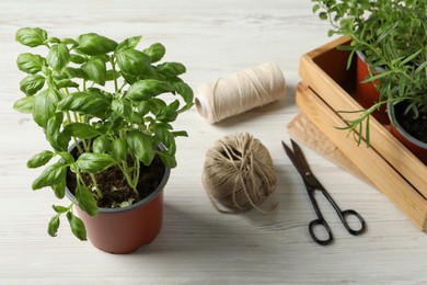 Photo of Different aromatic potted herbs, treads, and scissors on white wooden table