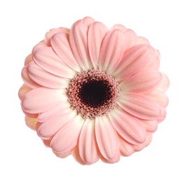 Photo of Beautiful pink gerbera flower isolated on white