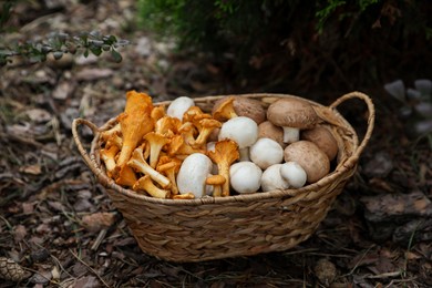 Photo of Wicker basket with different fresh mushrooms in forest