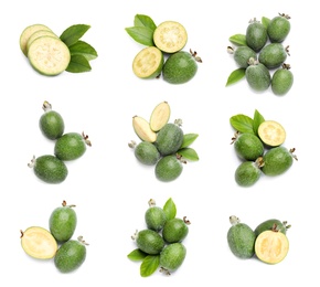 Set of fresh ripe feijoas on white background