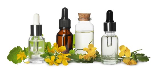 Set with celandine essential oil in bottles on white background. Banner design