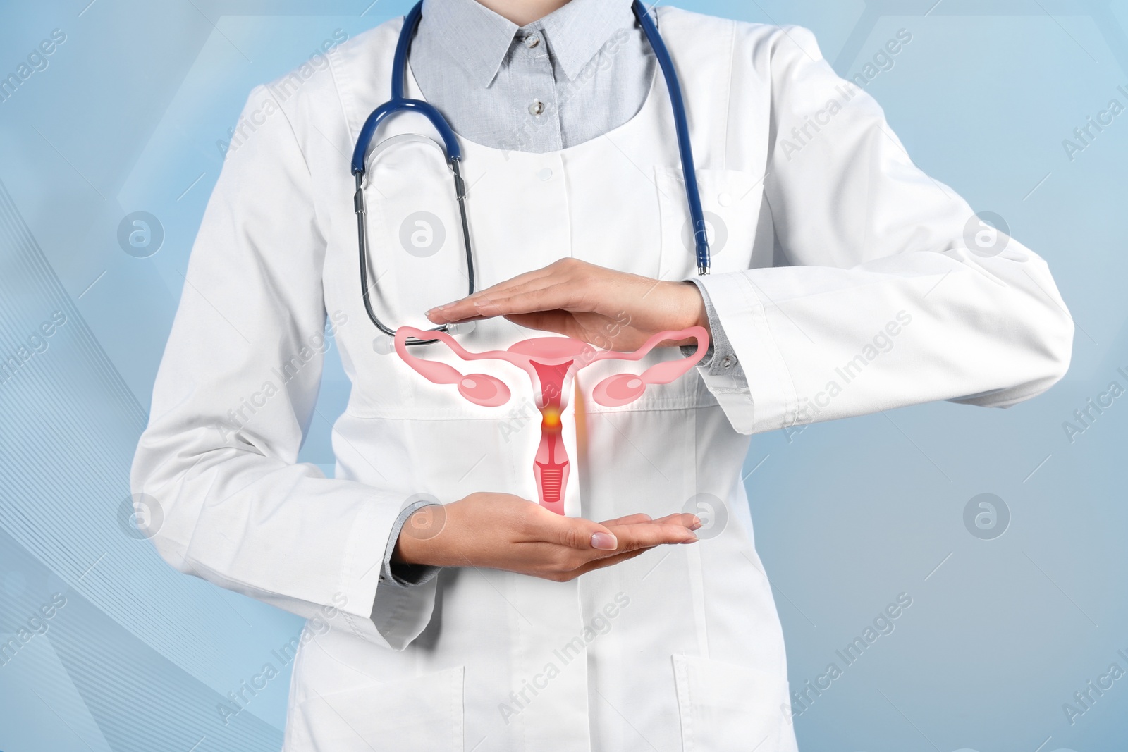 Image of Doctor demonstrating virtual icon with illustration of female reproductive system on light background, closeup. Gynecological care 