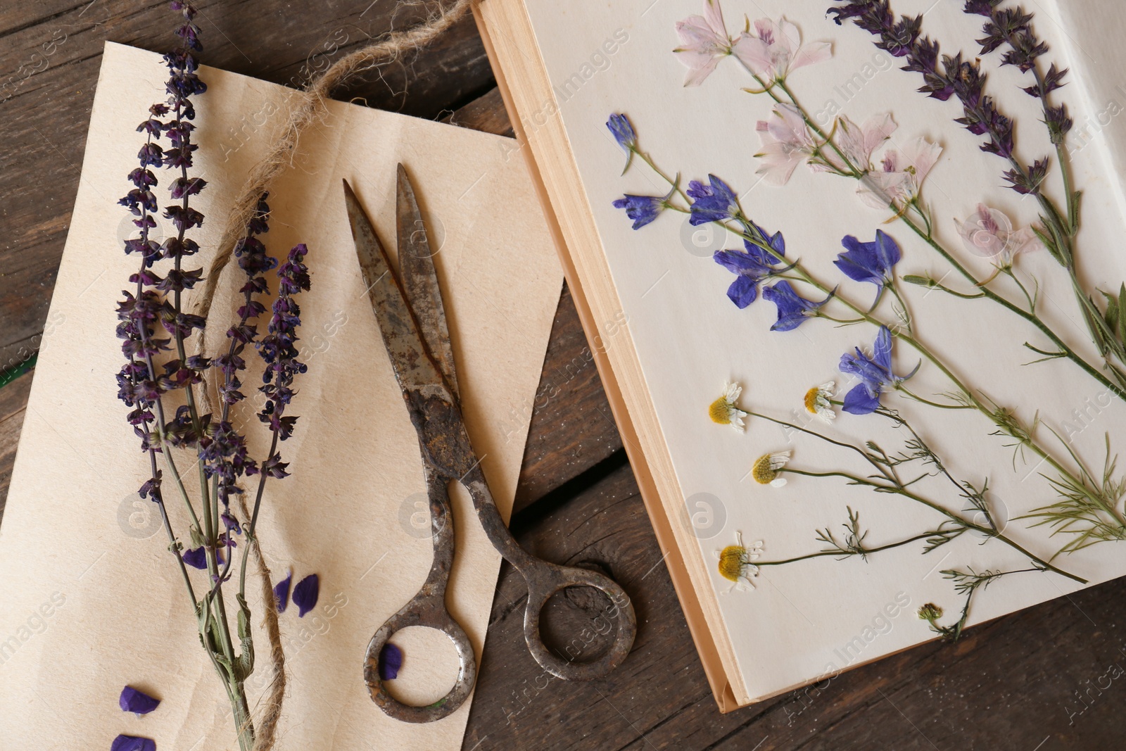 Photo of Old scissors with beautiful dried flowers and book on wooden table, flat lay