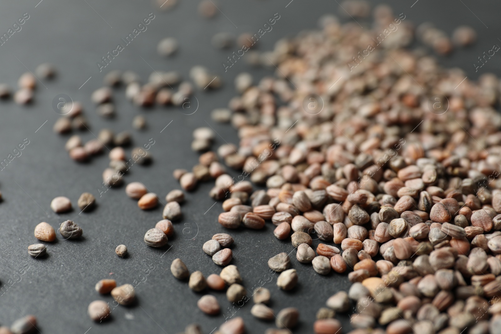 Photo of Raw radish seeds on grey background, closeup. Vegetable planting