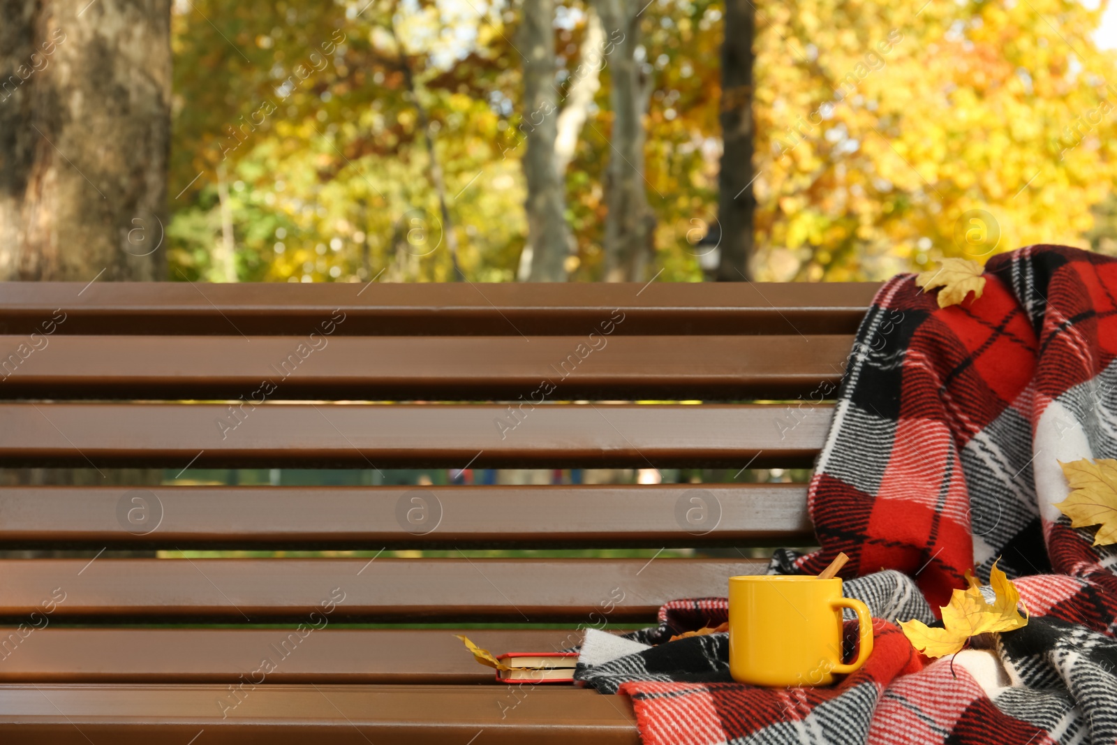 Photo of Wooden bench with cup of drink, plaid and book in park on autumn day. Space for text