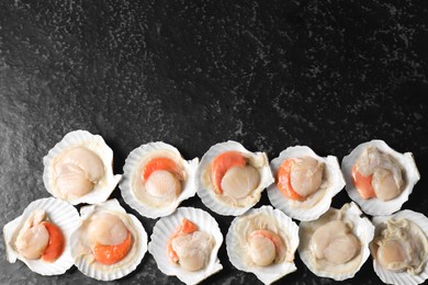 Photo of Fresh raw scallops with shells on black textured table, flat lay. Space for text