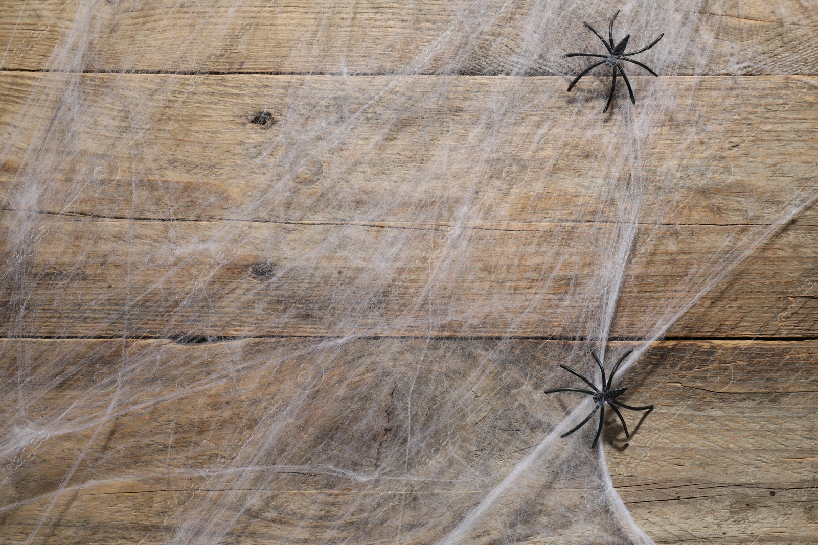Photo of Cobweb and spiders on wooden surface, top view